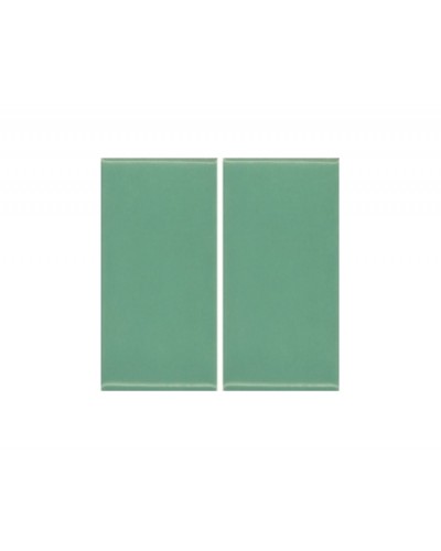 80122.2 Фарфоровая плитка глазурованная (зеленый) м2